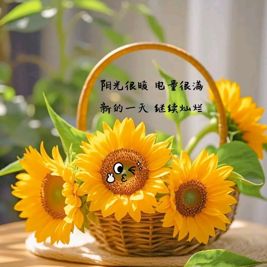 ᭄给快乐ོ留痕ృ༊🌟