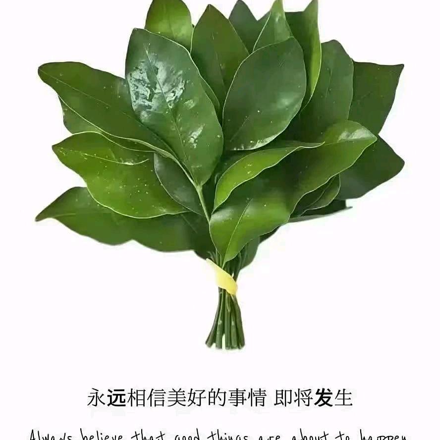 🦋এۣ.꧔ꦿ ᭄