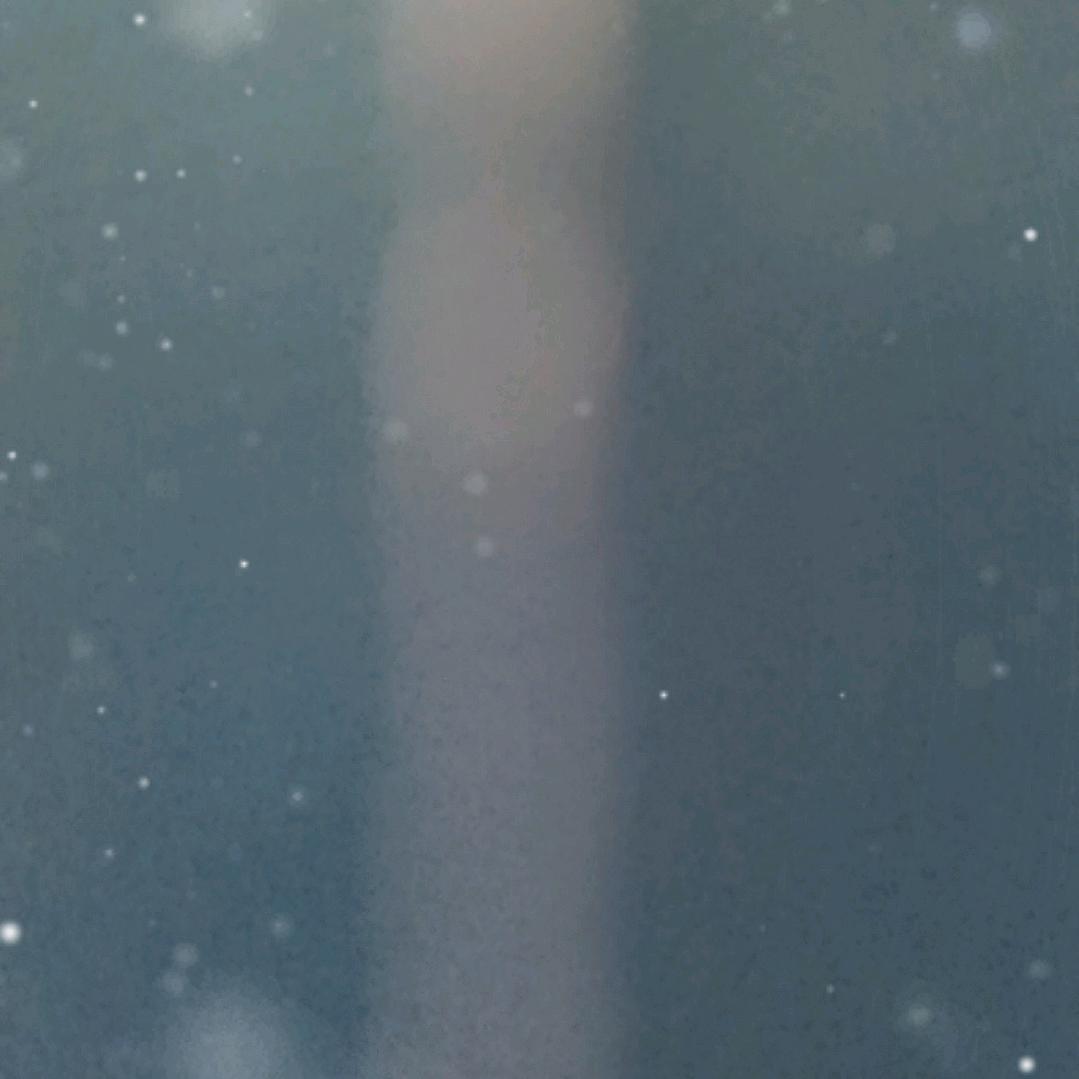 抖音用户1359646388