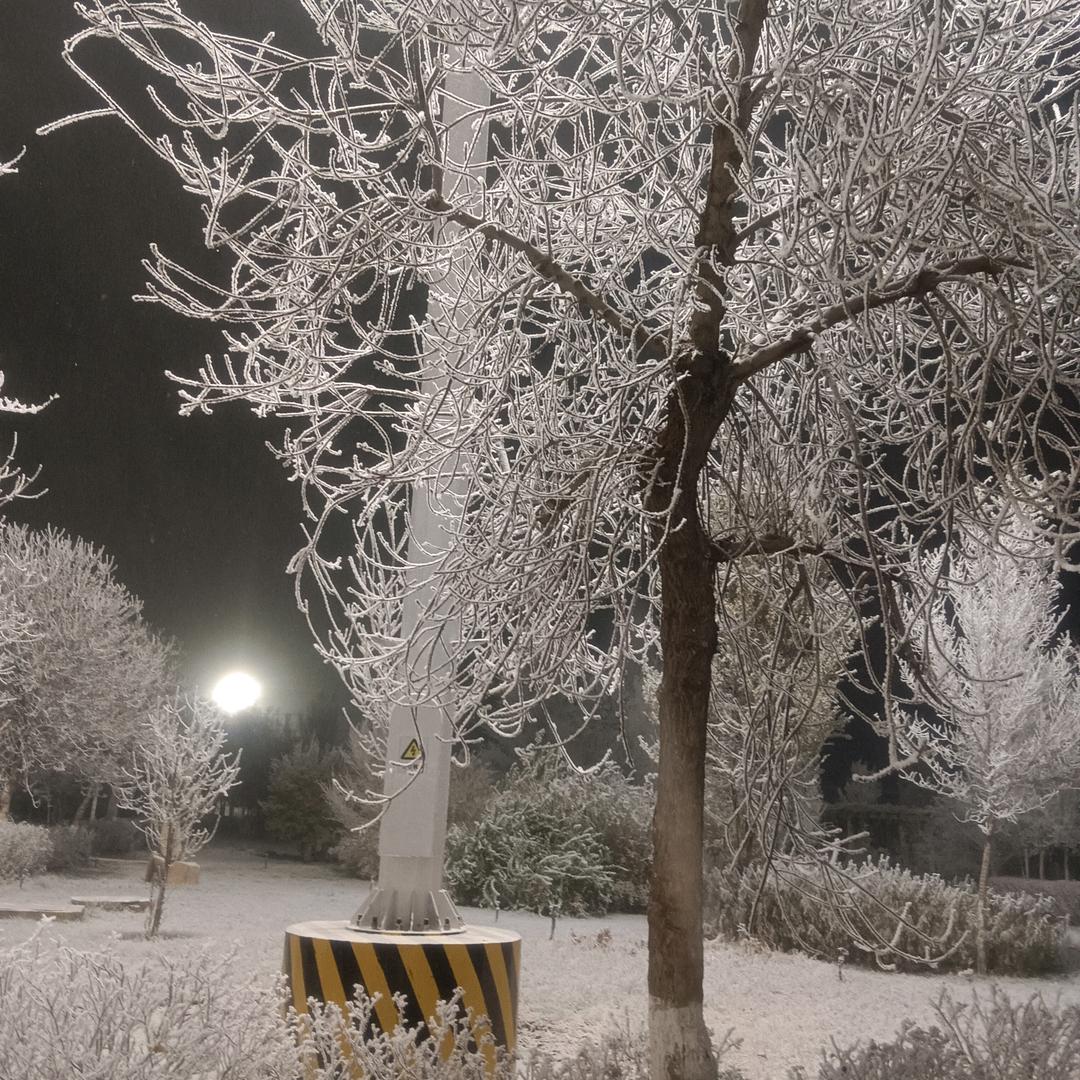 苦而不言，喜而不语
