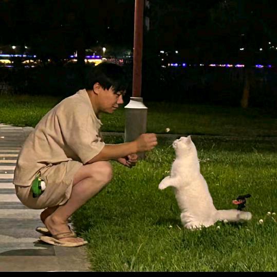 昆明本地休菇菇