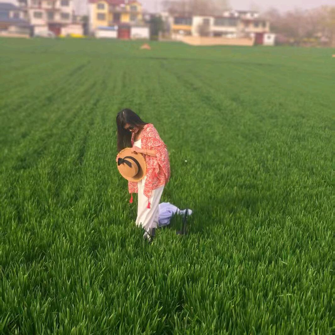 慧慧