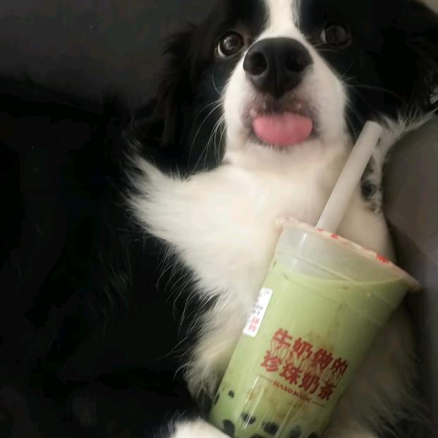 烤吃卢鱼