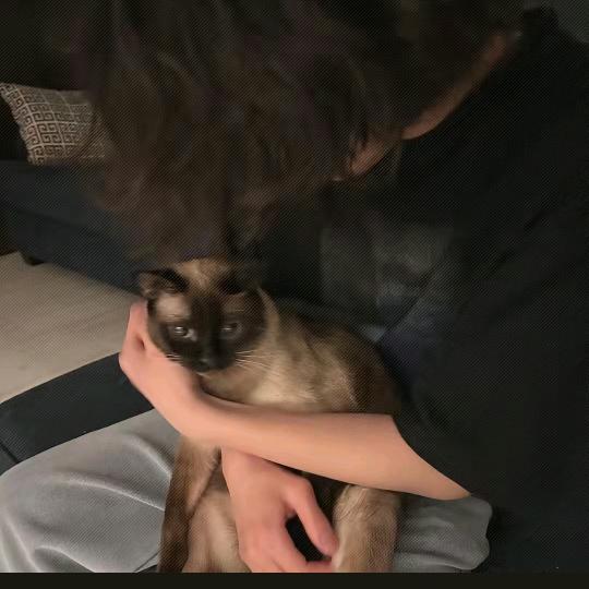 小z_