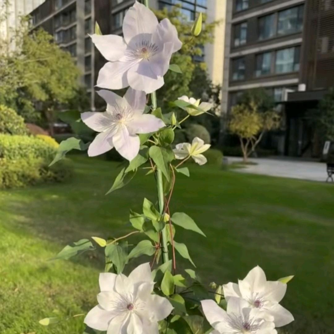 🎉🍊🍑一一在努力ᥫᩣ🥭🍓
