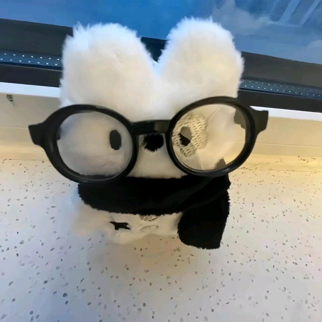 橘猫。