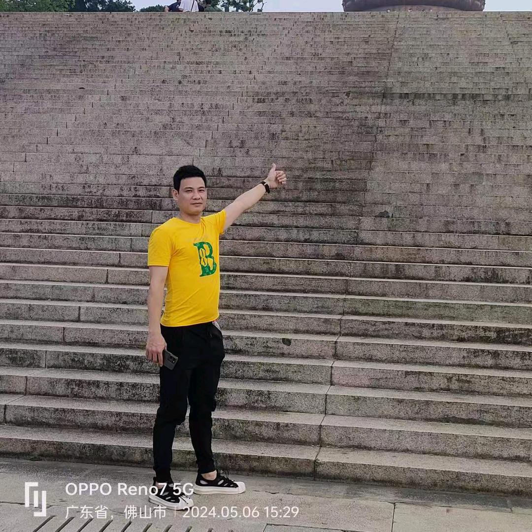 不吃鱼的猫