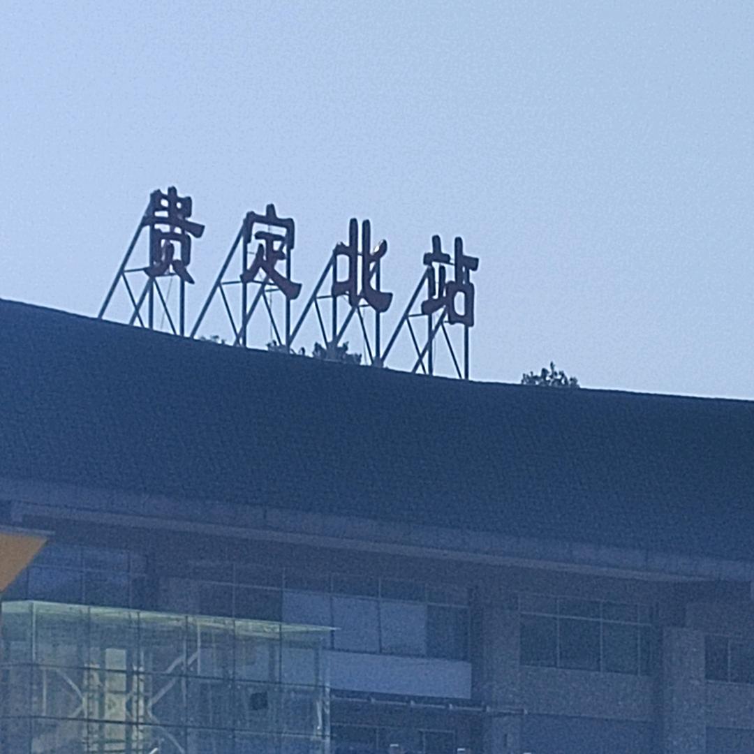 宝哥