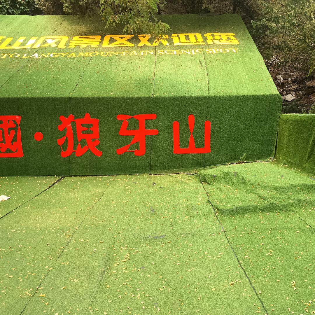 向往蓝天