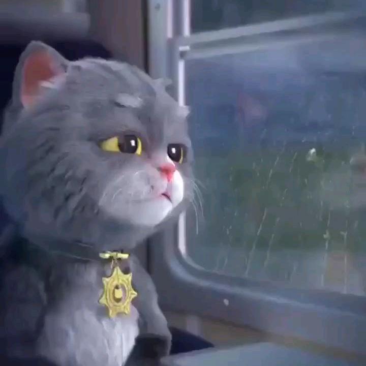 随天意306