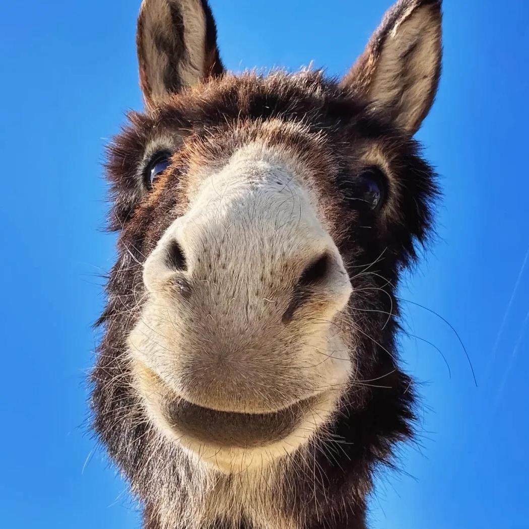 这个人多少有点毛病