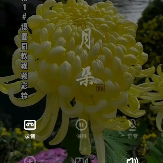 蓝天