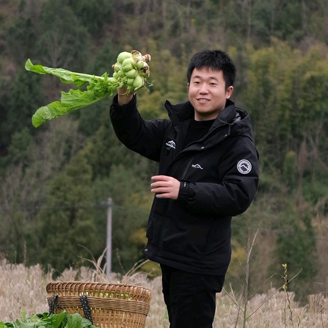 跑山青松