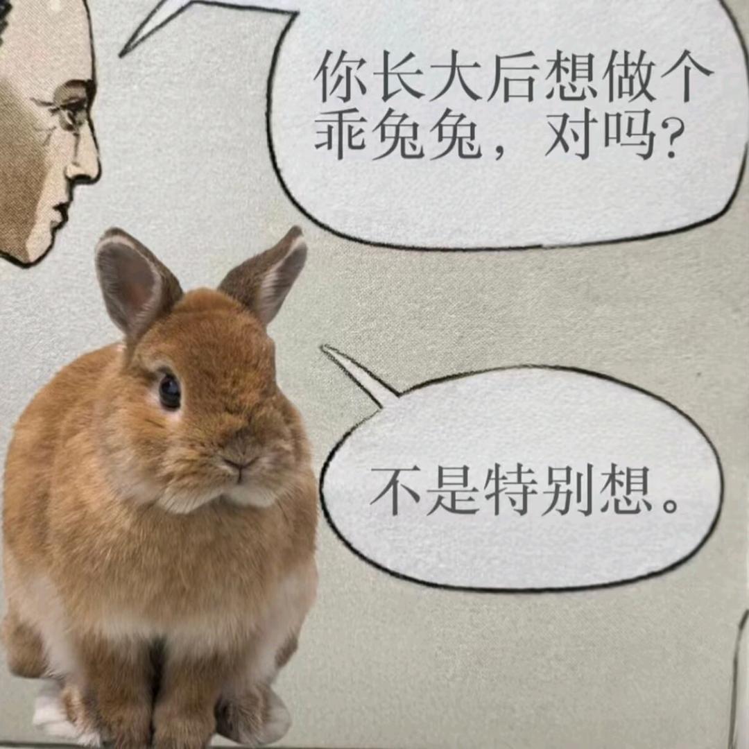 NEKOLO（被限流版