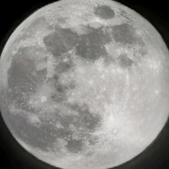 取次花丛懒回顾灬