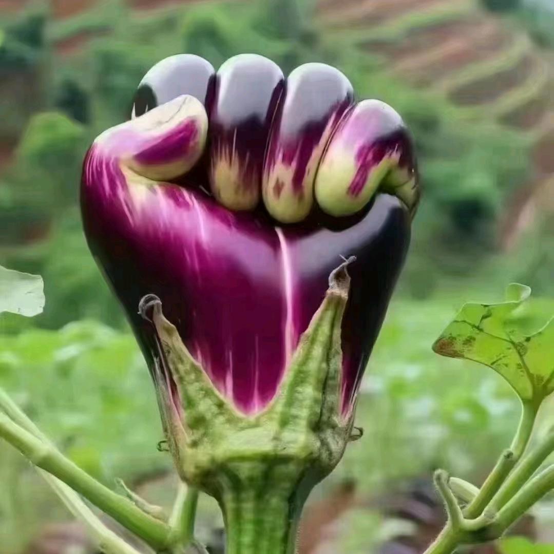 爱我你就抱抱我