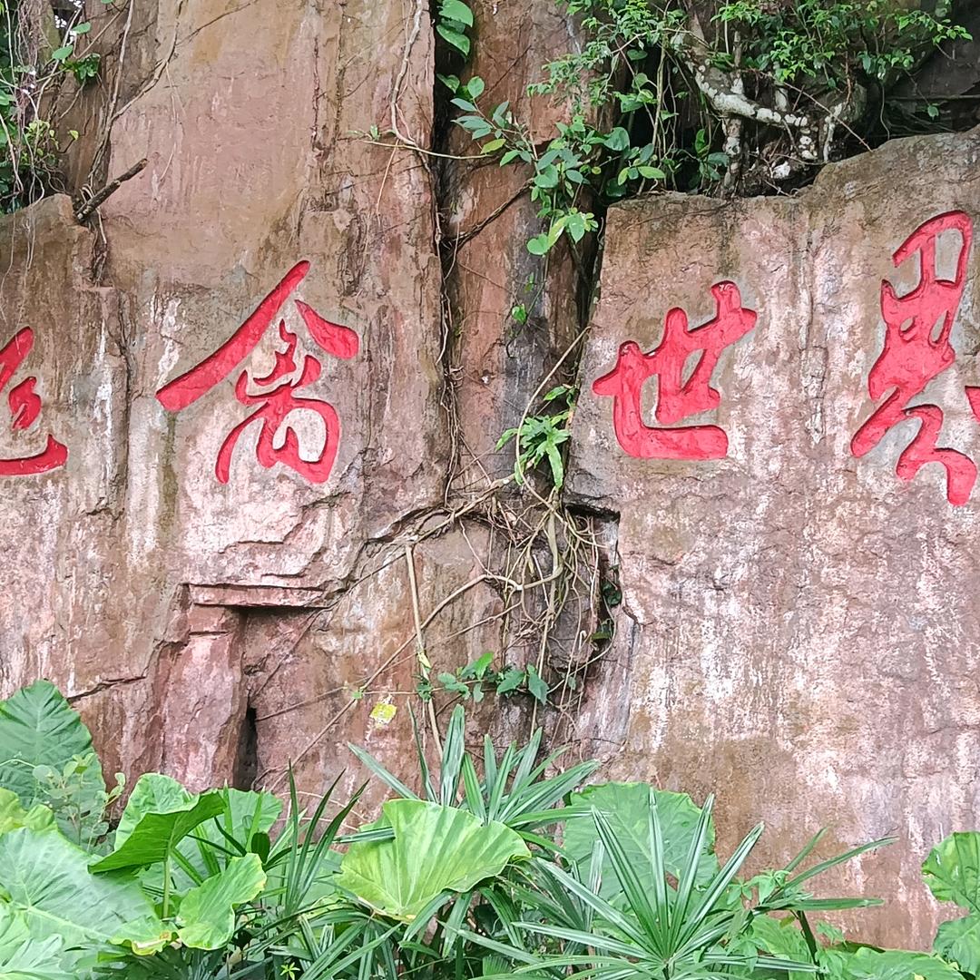 玩命