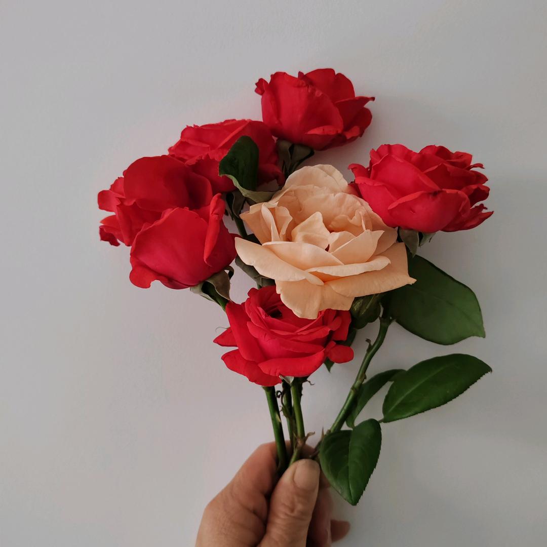 上门做饭🌸小华🌸