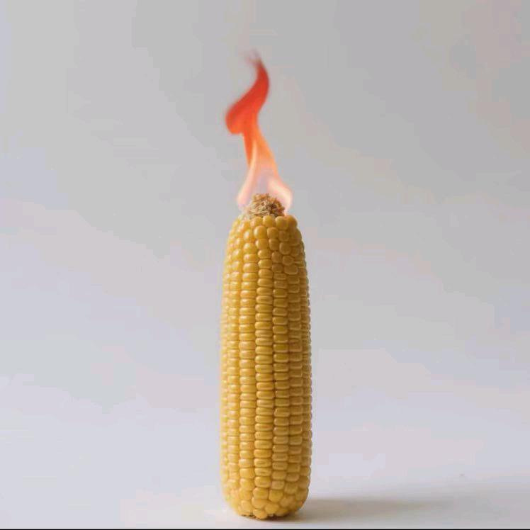 我是大帅啊！👀