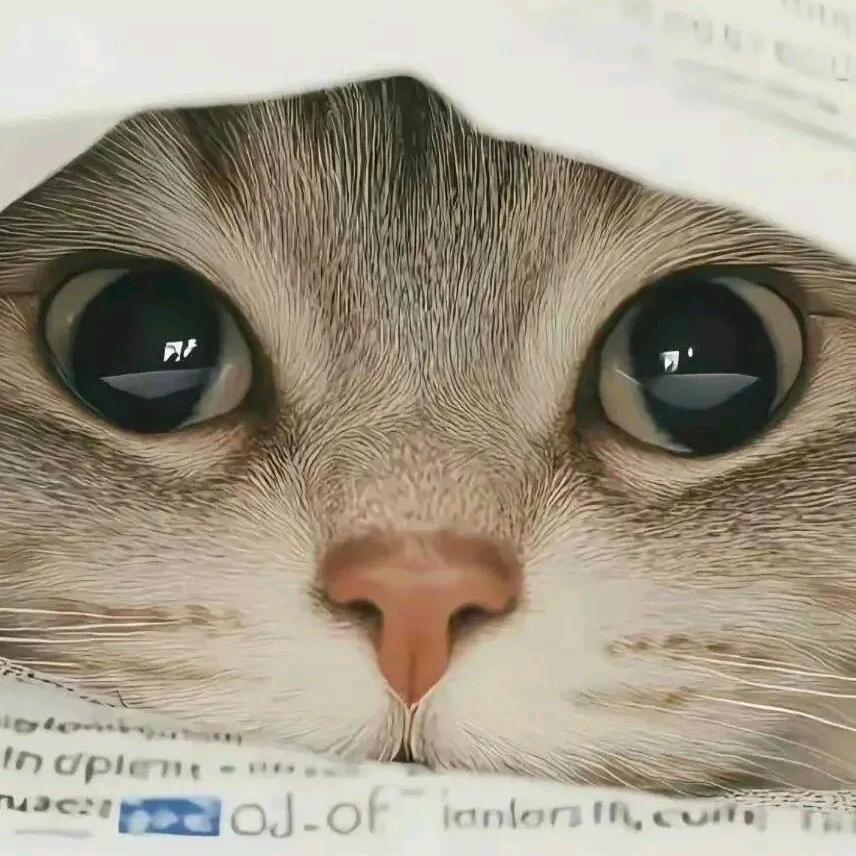 摸鱼专业户.🍒