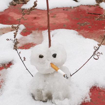 大雪满天飞🥶