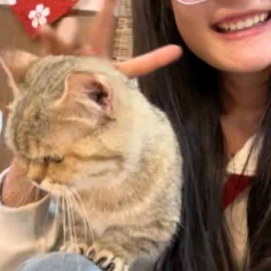 春