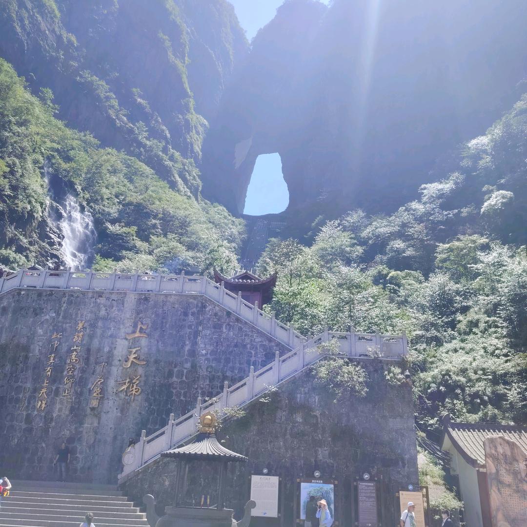 醉梦☞