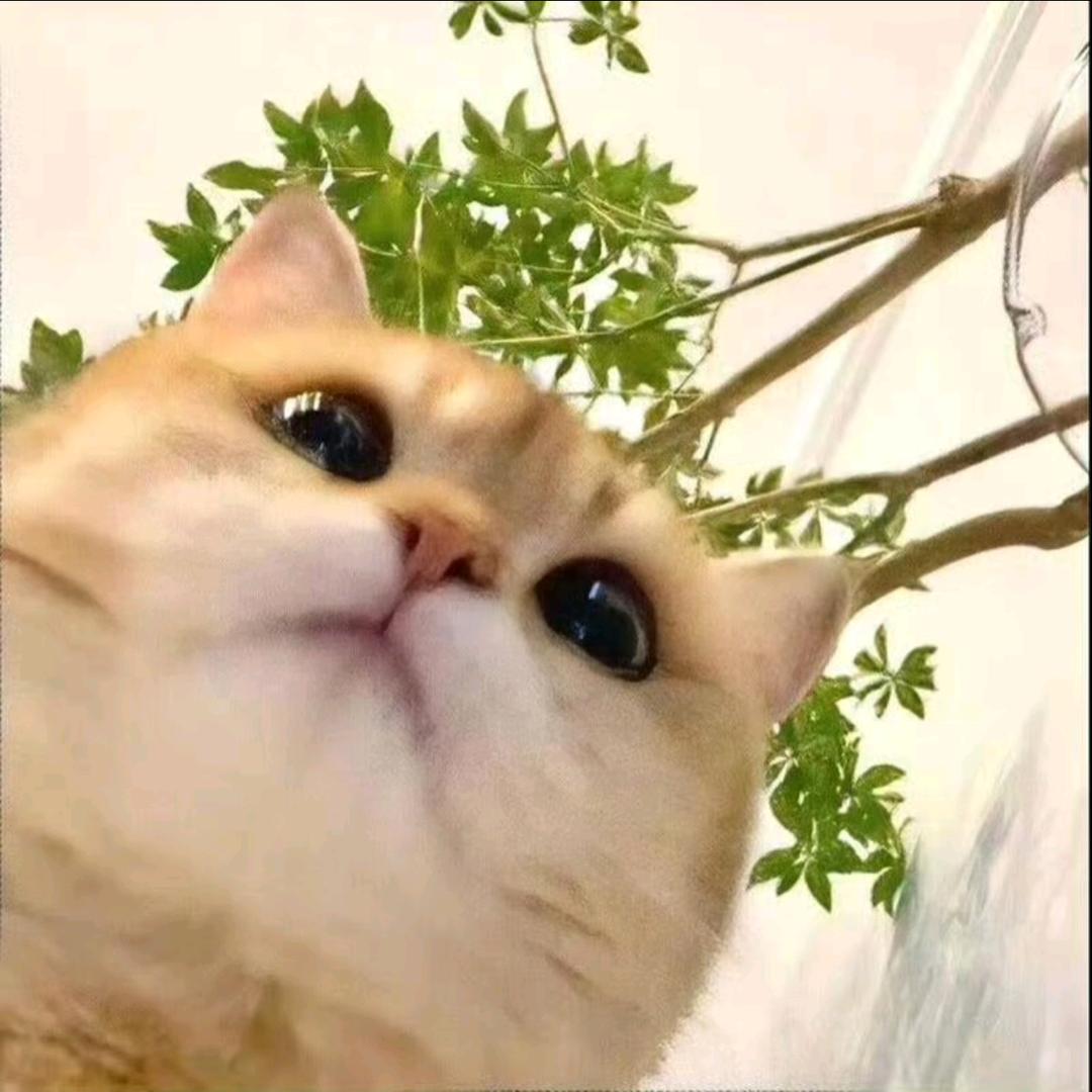 零度