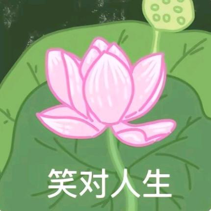 高级美食品鉴师