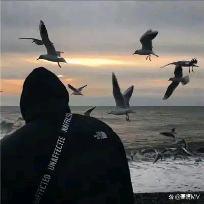 人生旅途