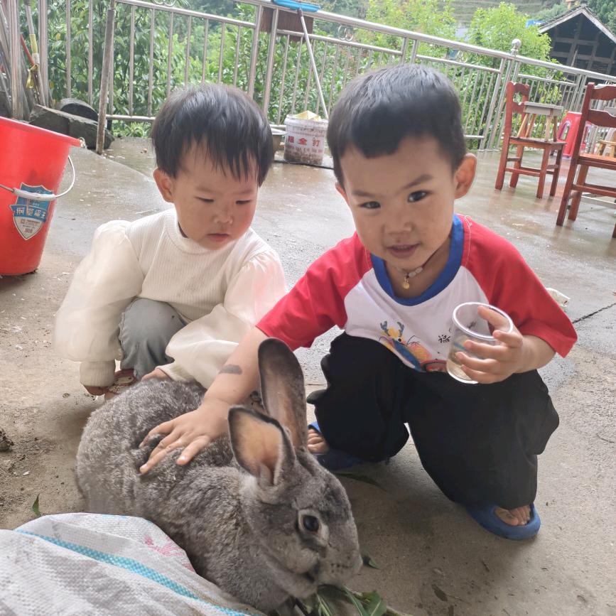 梓辰梓萌的麻麻 (ૢ˃ꌂ˂⁎)