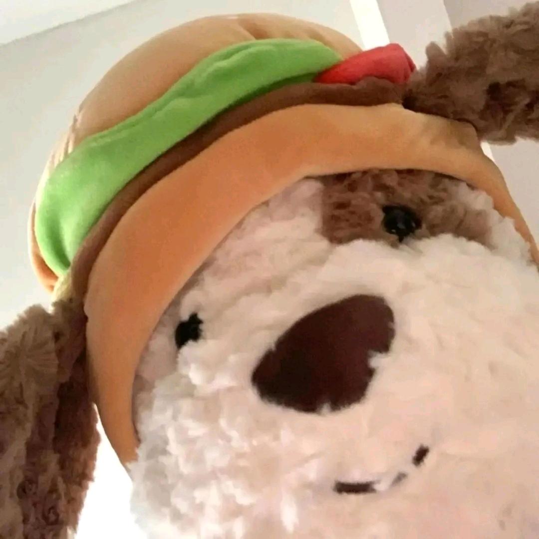 重生之我是大美女