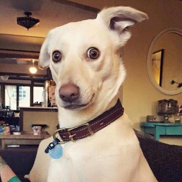 _