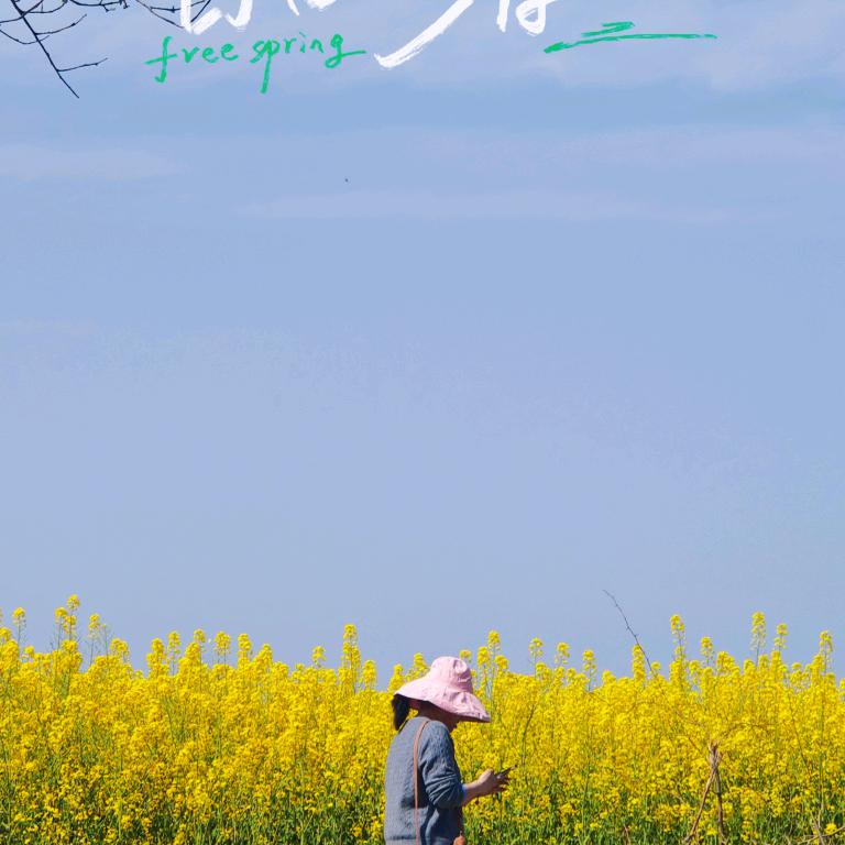 襄阳赢源财税刘会计