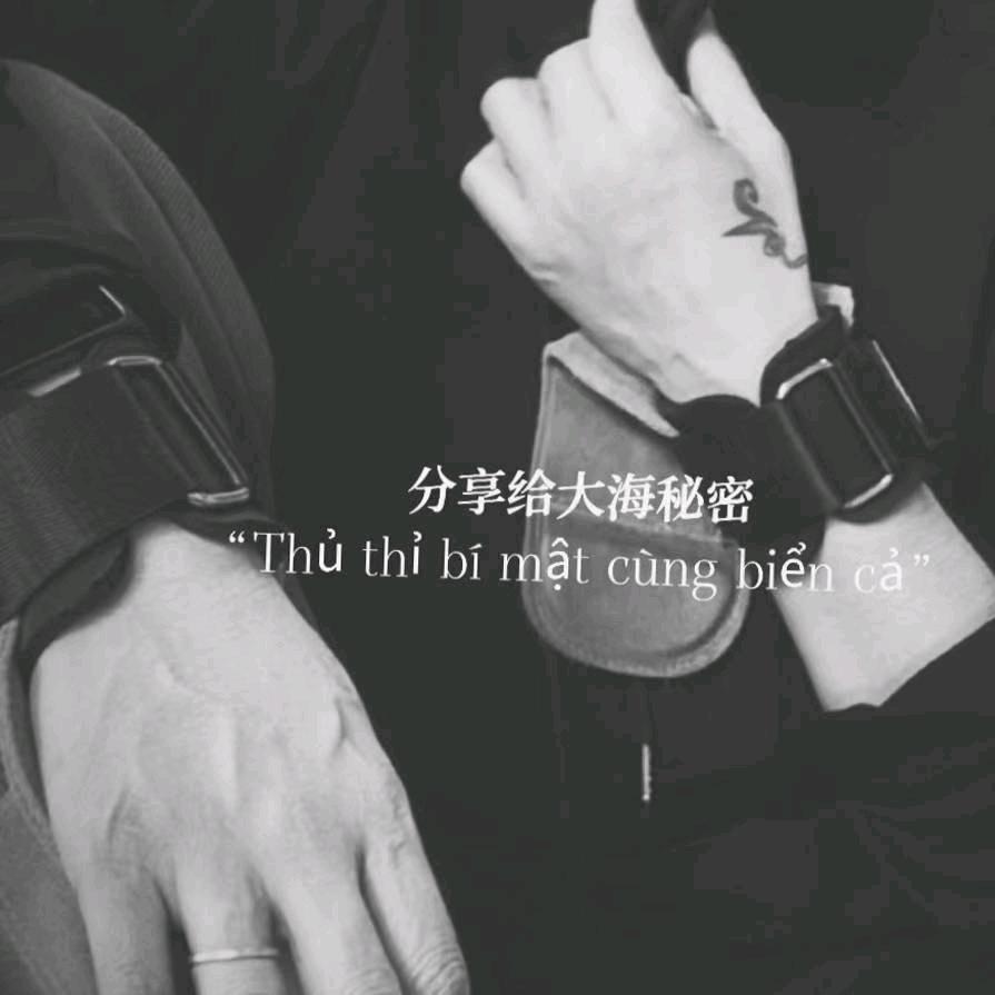 练不大的矮萝卜