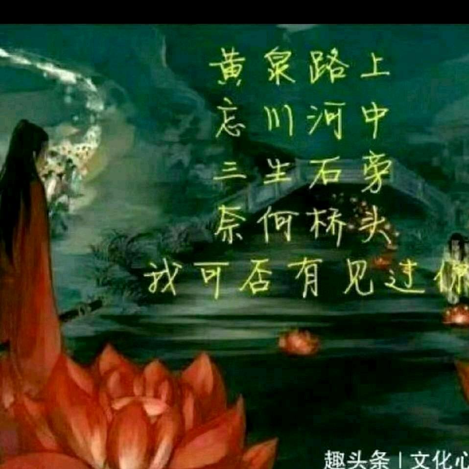 善V缘：以善为人