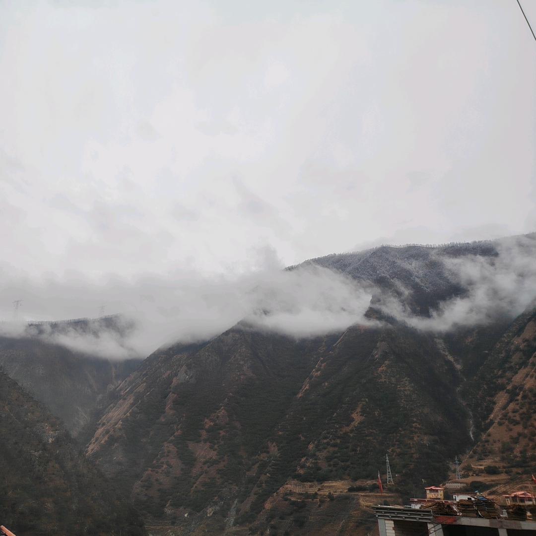 生活不易，唯有努力