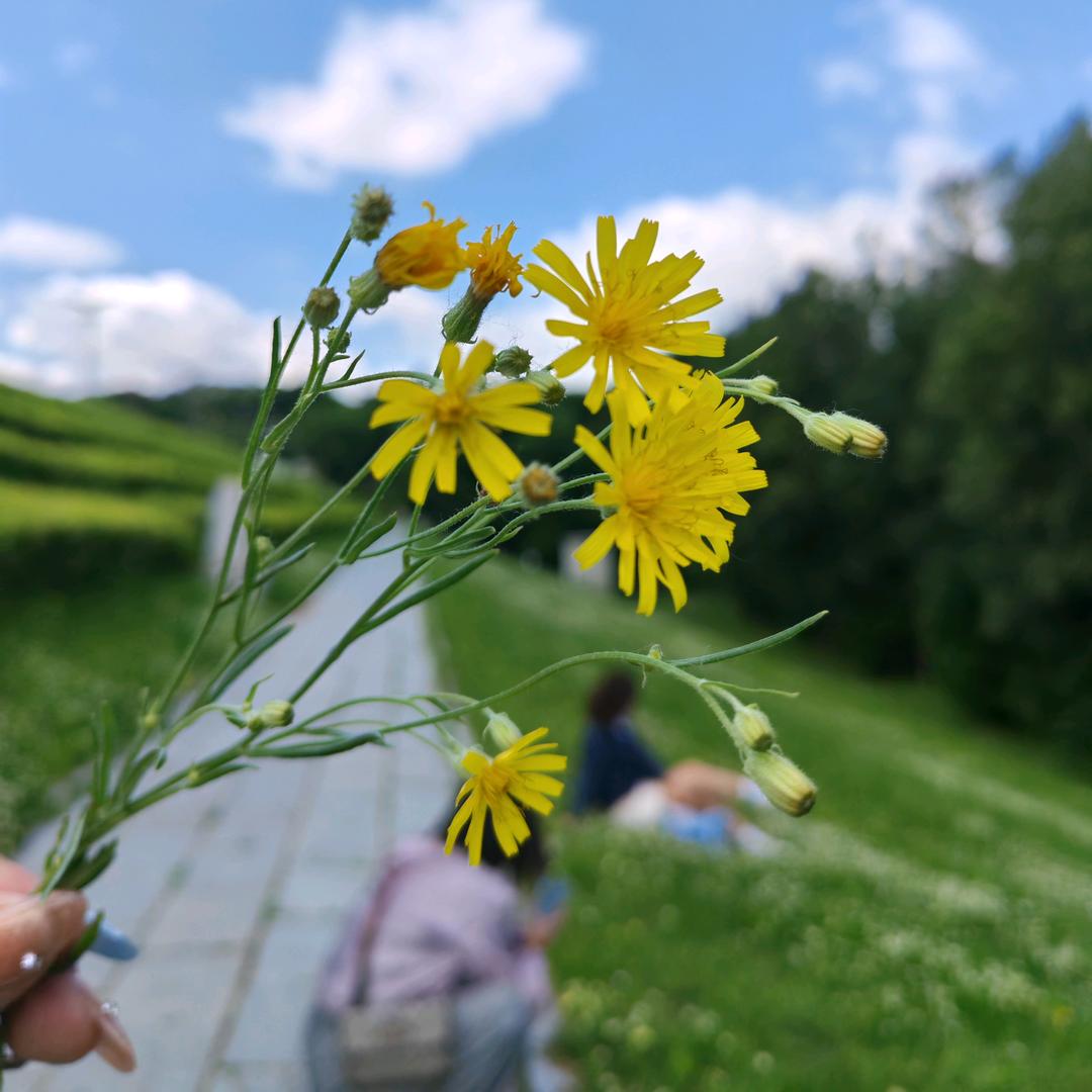 隔壁老王炒米粉