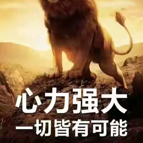 给优秀的人在一起