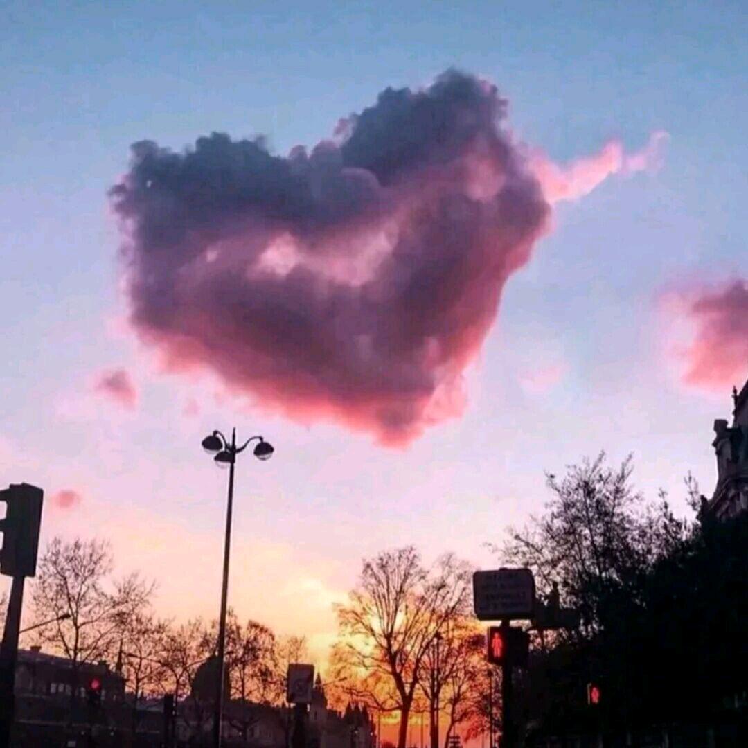 复杂的取名环节