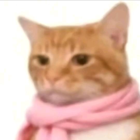 昕昕昕昕昕昕