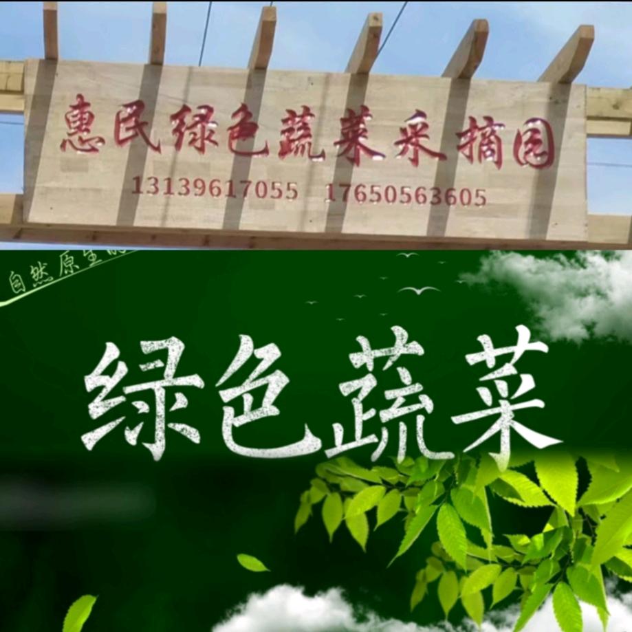 绿色采摘园-三坪农场二队