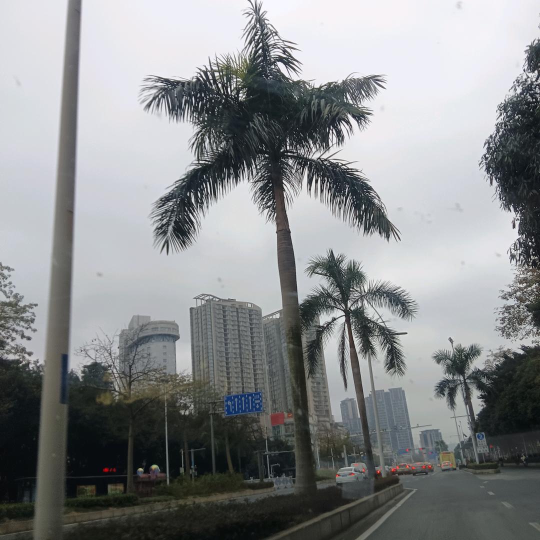 关中人