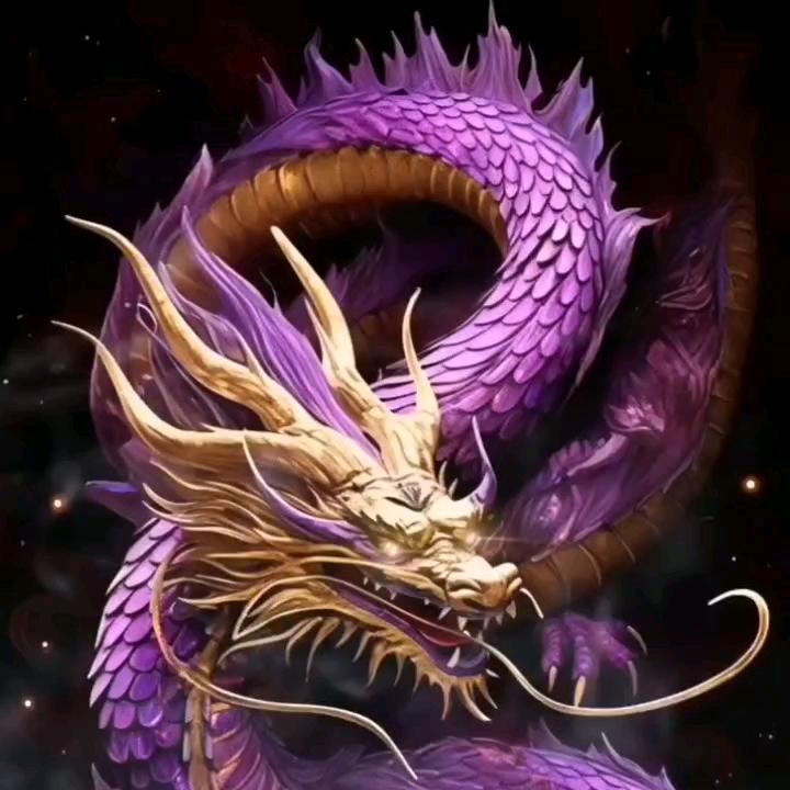 龍叔