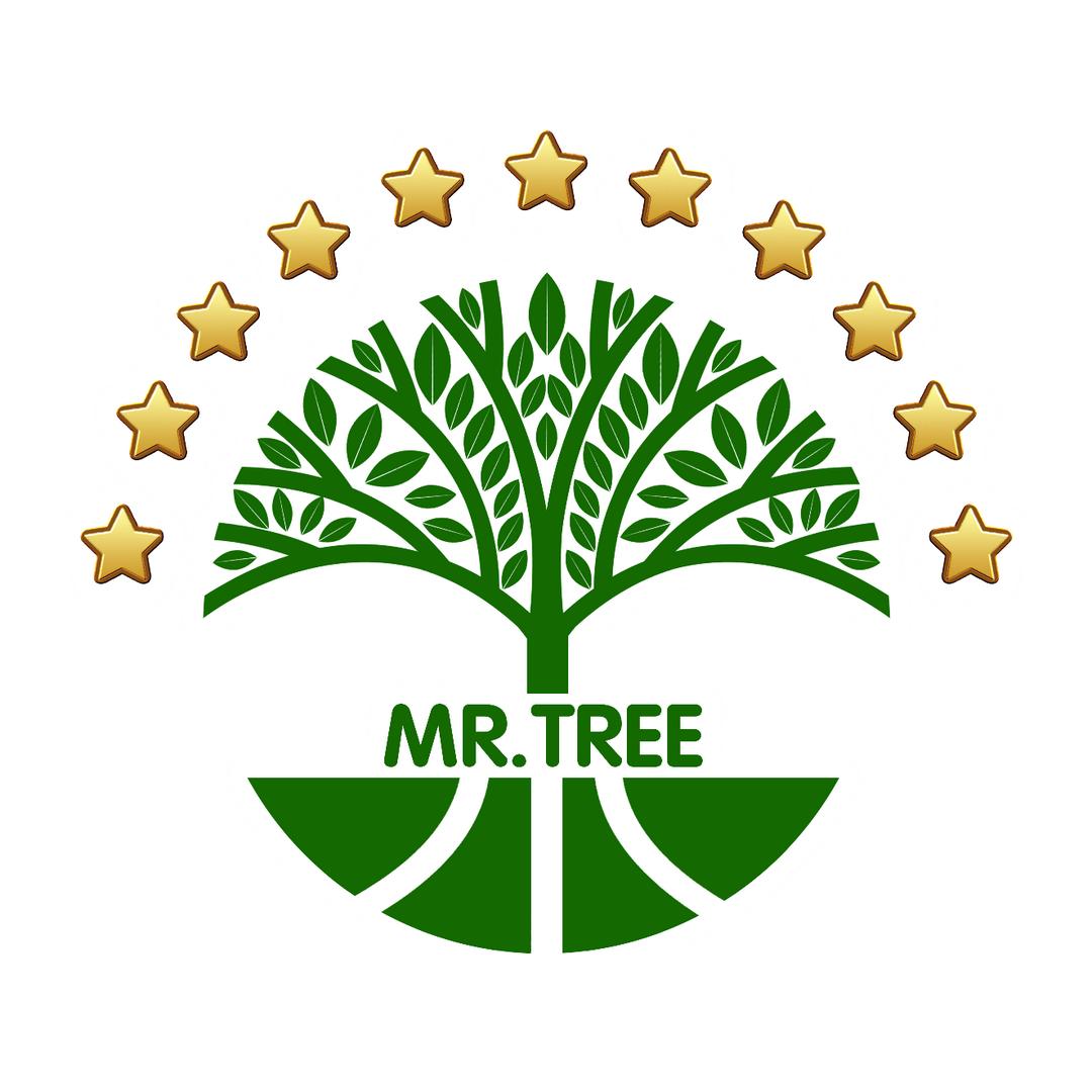 优肯万柳小树先生🌳