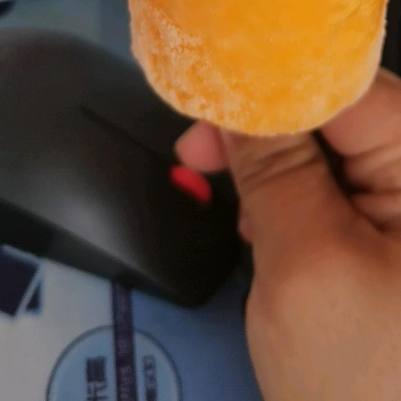 一只傻教练