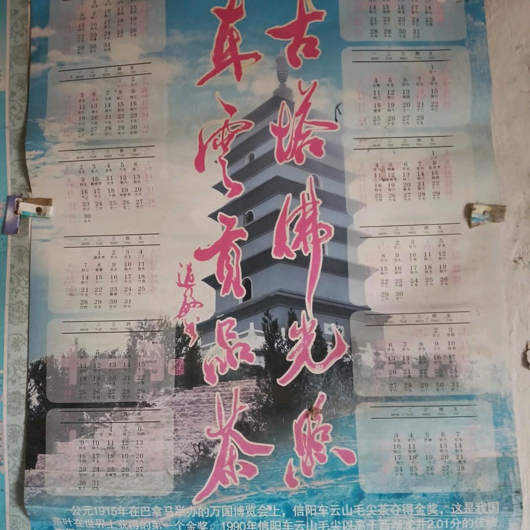 信阳车云山立志茶叶场