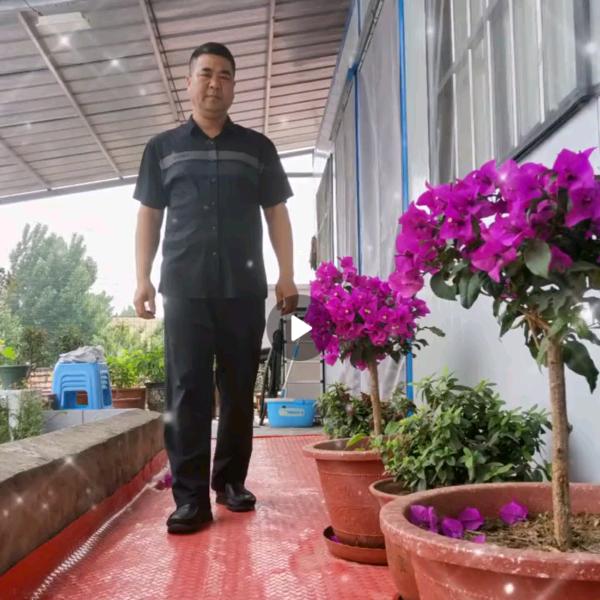 雪中无炭自我寒