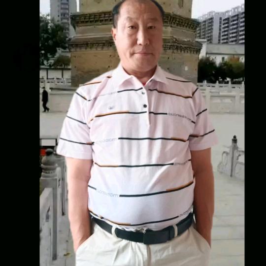 奔驰的白马