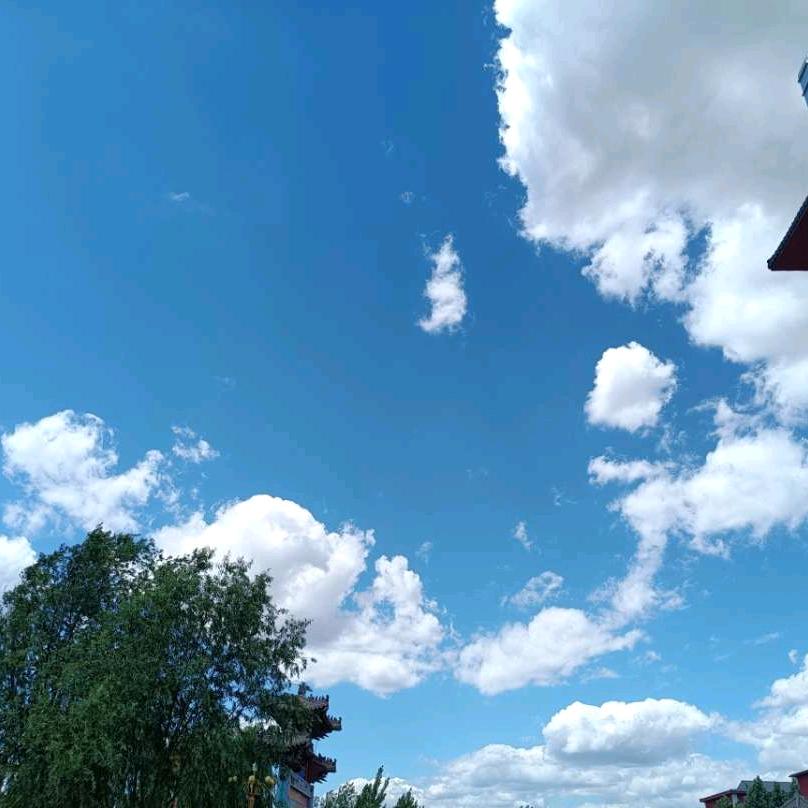 泡泡